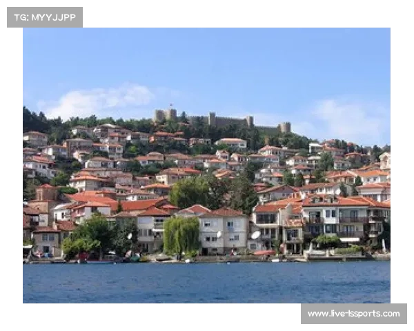 土耳其一路掀翻塞尔维亚波兰希腊,黑马之旅虽败犹荣 土耳其一路掀翻塞尔维亚波兰希腊,黑马之旅虽败犹荣